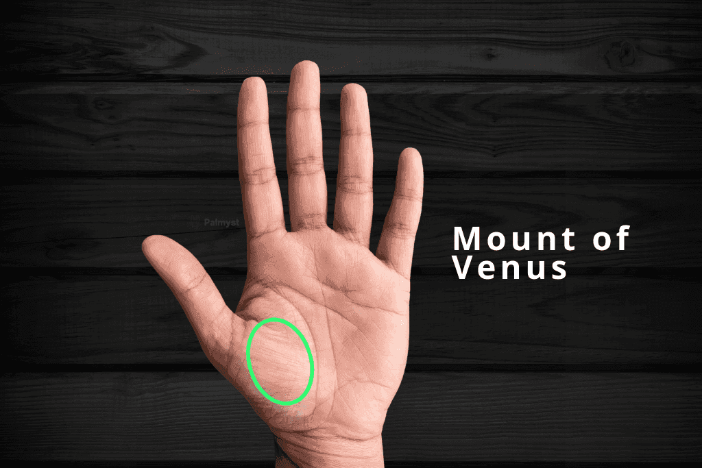 Mount of Venus in Palm Reading - Palmyst