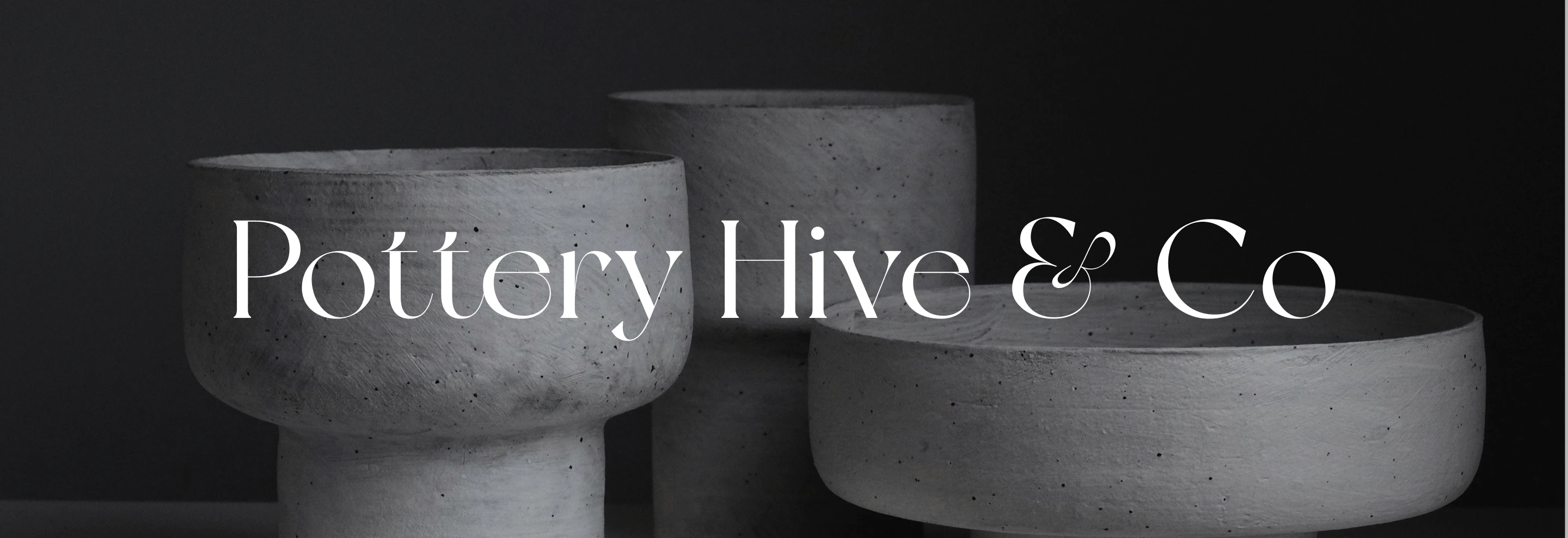 Banner avec le logo du projet