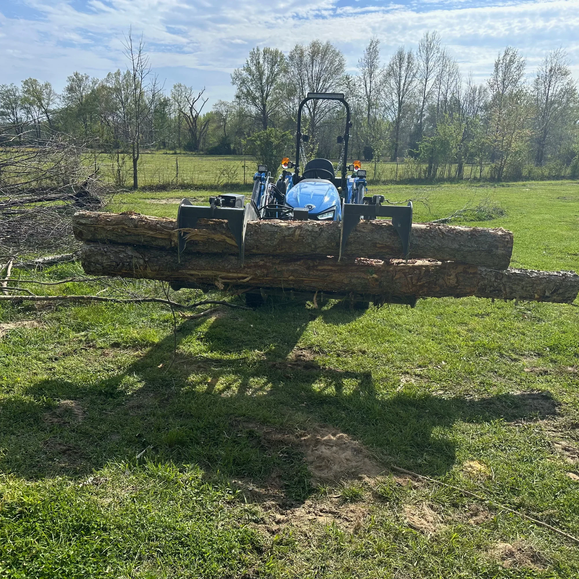 a dirt road surrounded by trees