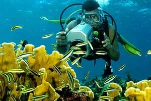 Diver exploring vibrant corals