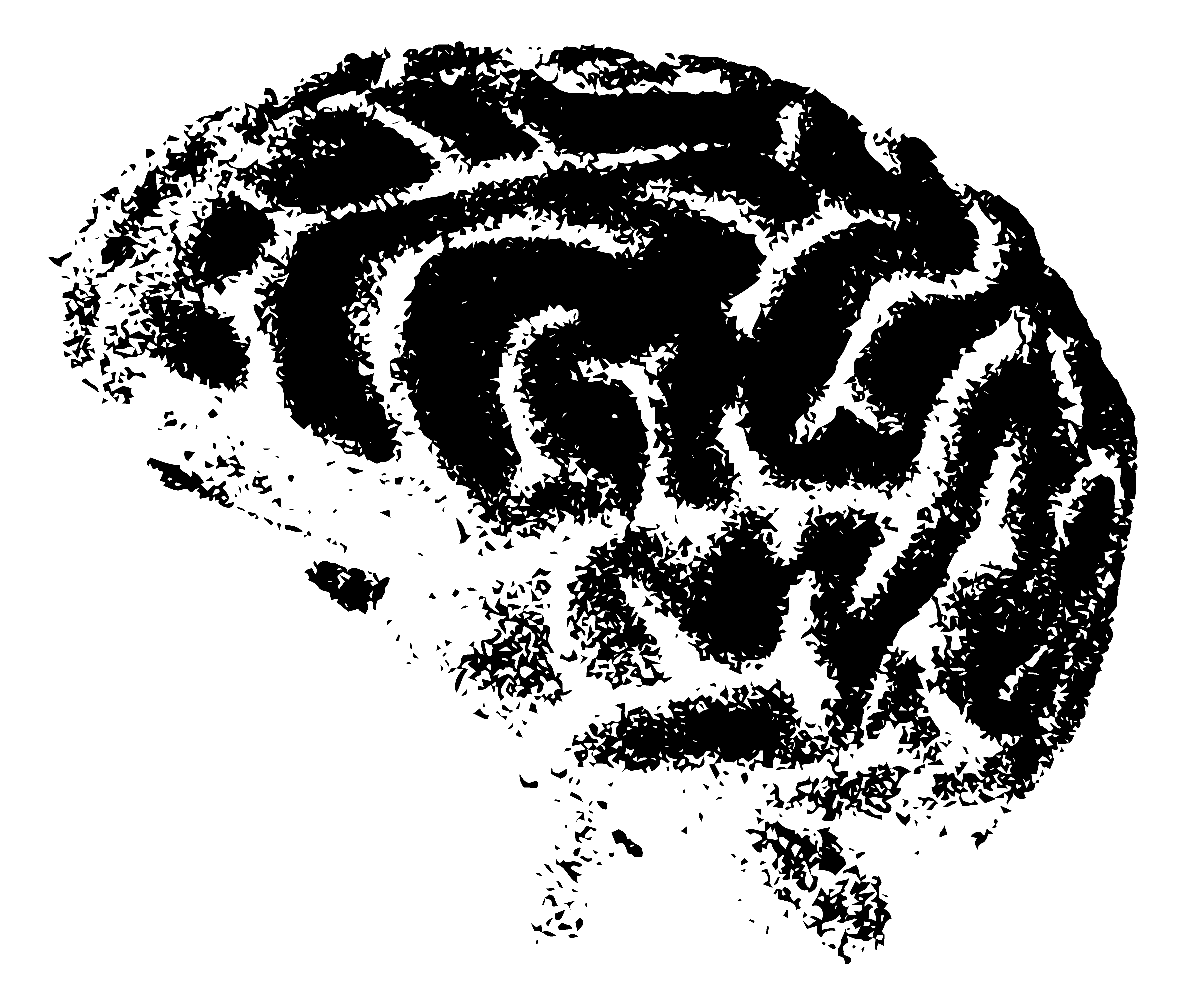 A simple silhouette illustration of a black human brain, viewed from the side.