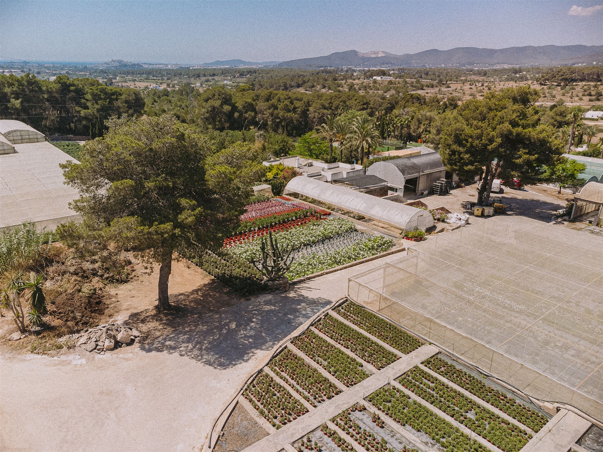 Eiviss Garden Florist San Antonio