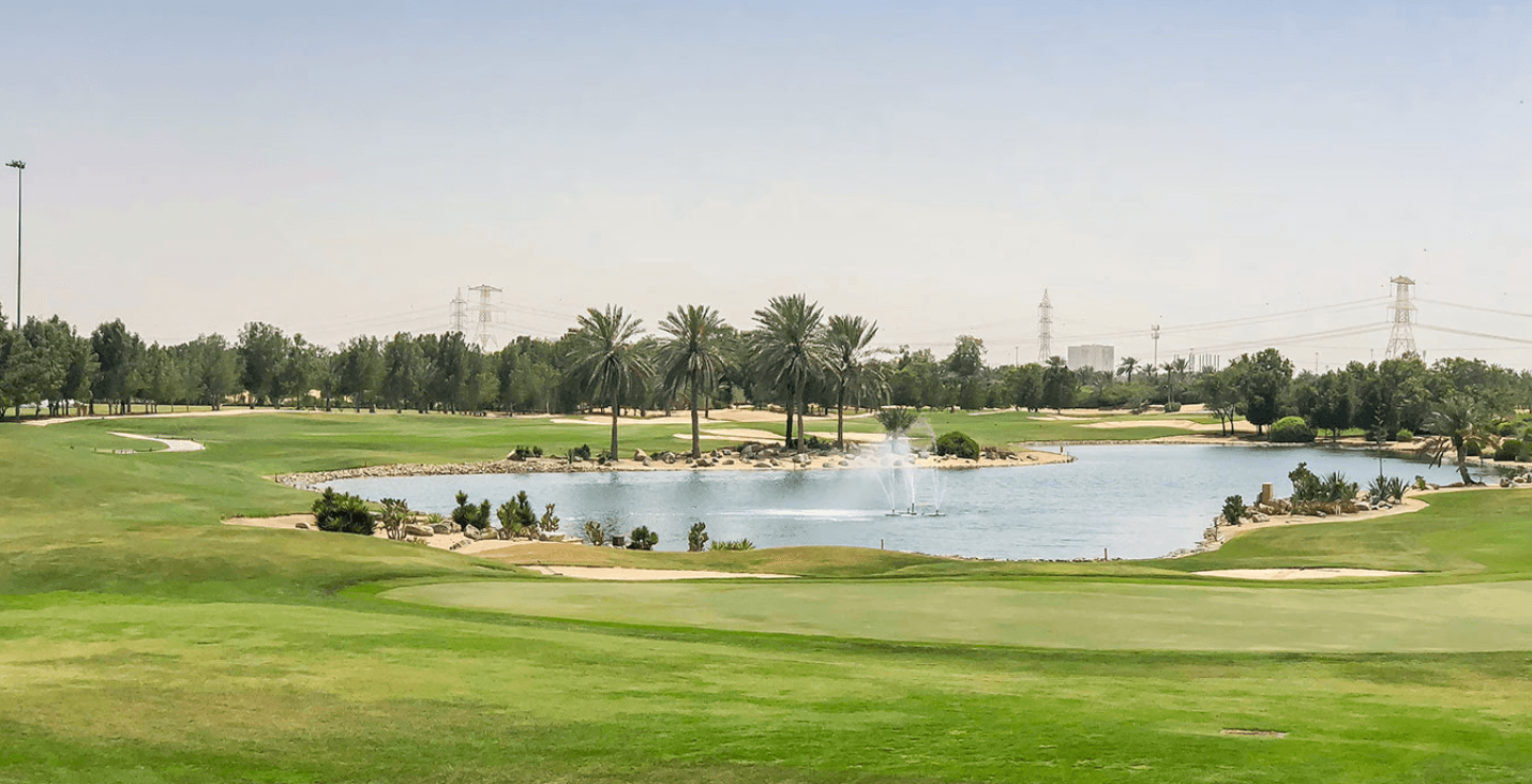 A house in Khalifa City surrounded by trees and bushes along the street.