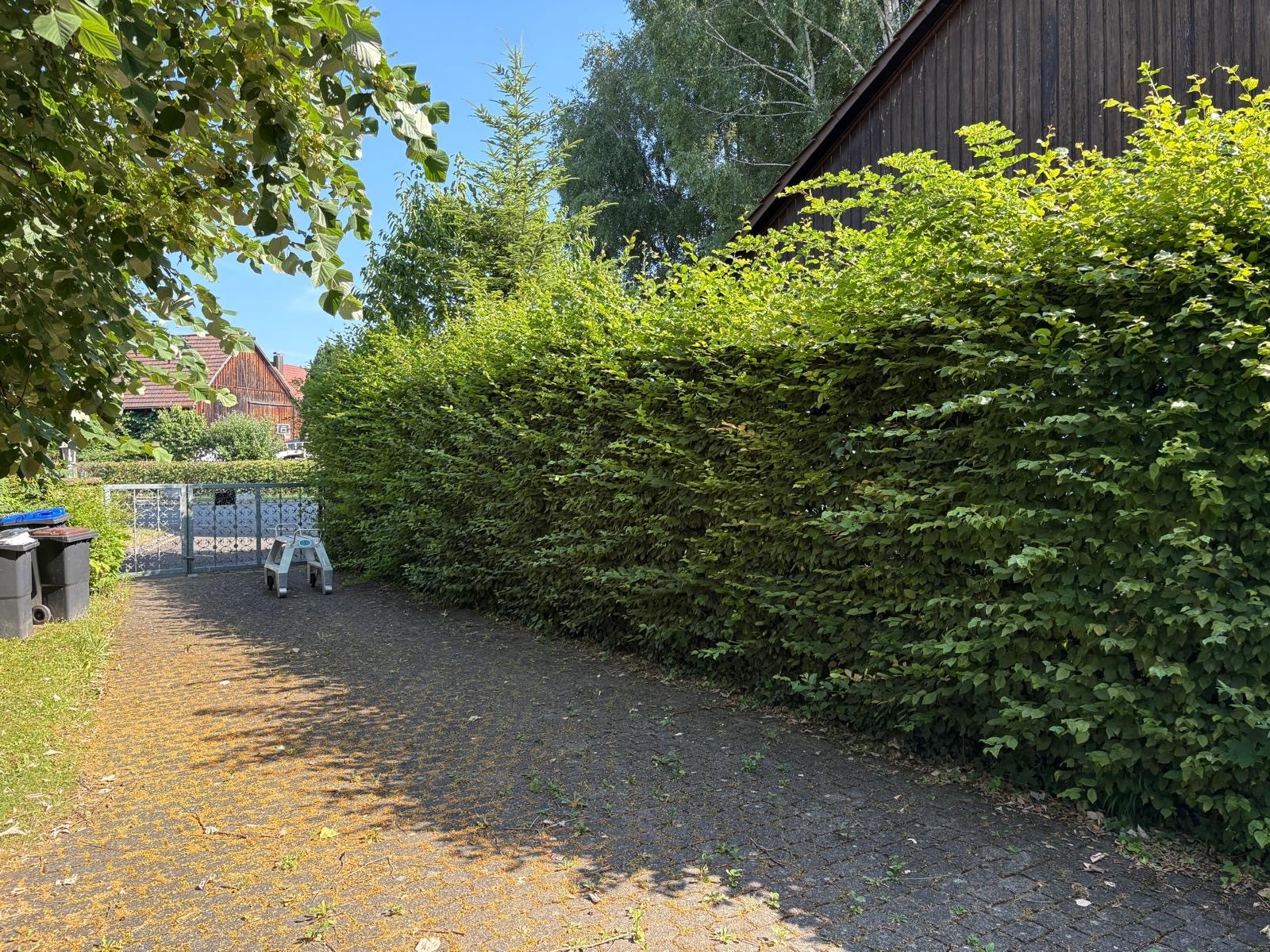 Before image