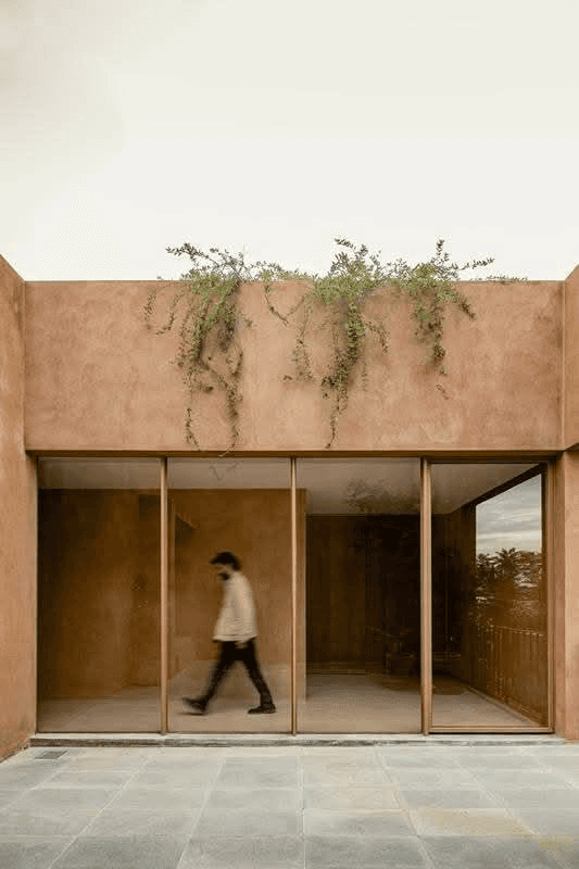 Hand-finished lime plaster with leaf shadows