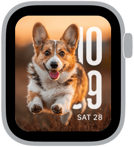 goldenrod dogs Apple Watch face preview 4 featuring autumn.