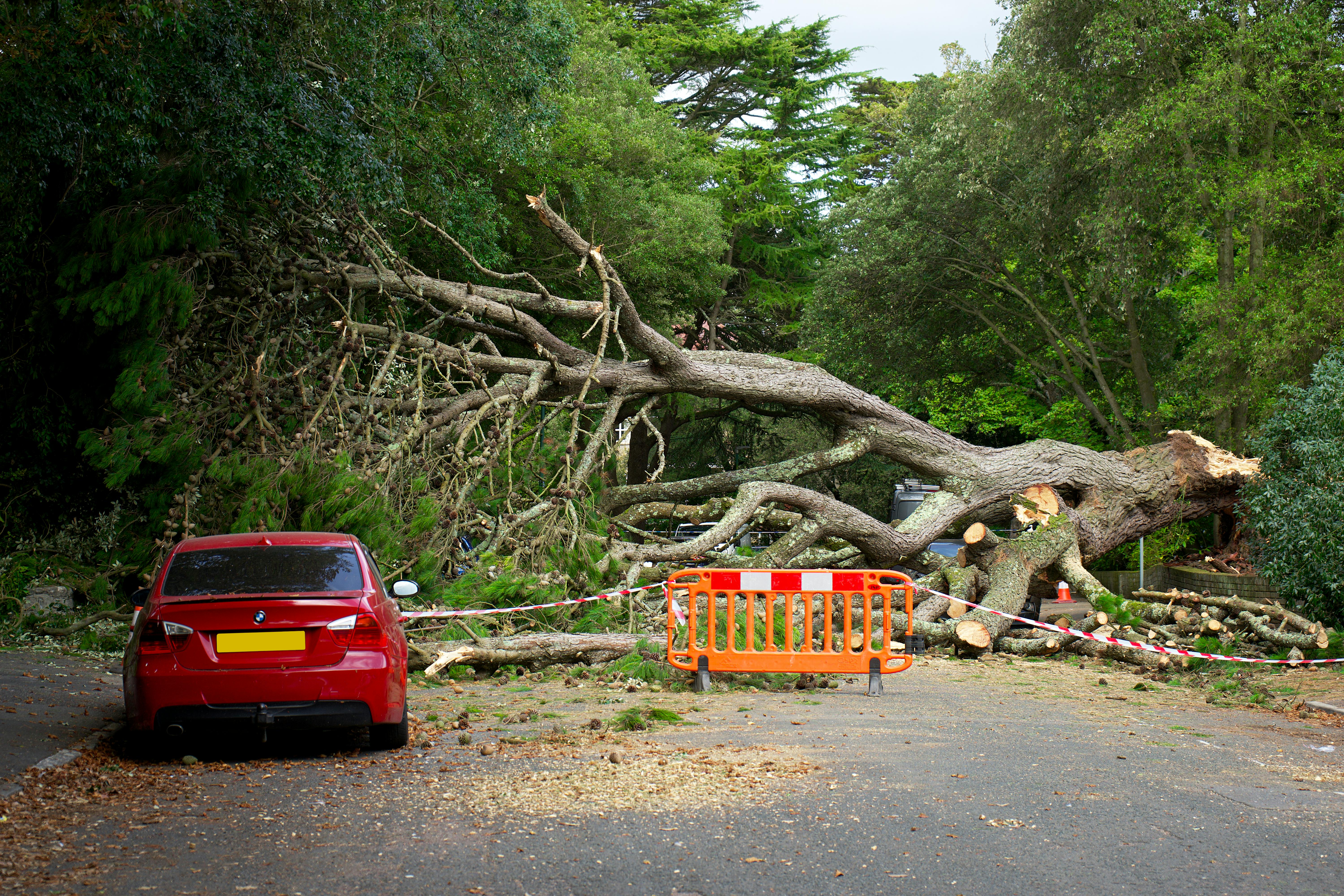 a-large-tree-has-fallen,-blocking-the-road-with-debris.-a-red-car-is-nearby. - mike-bird (pexels)