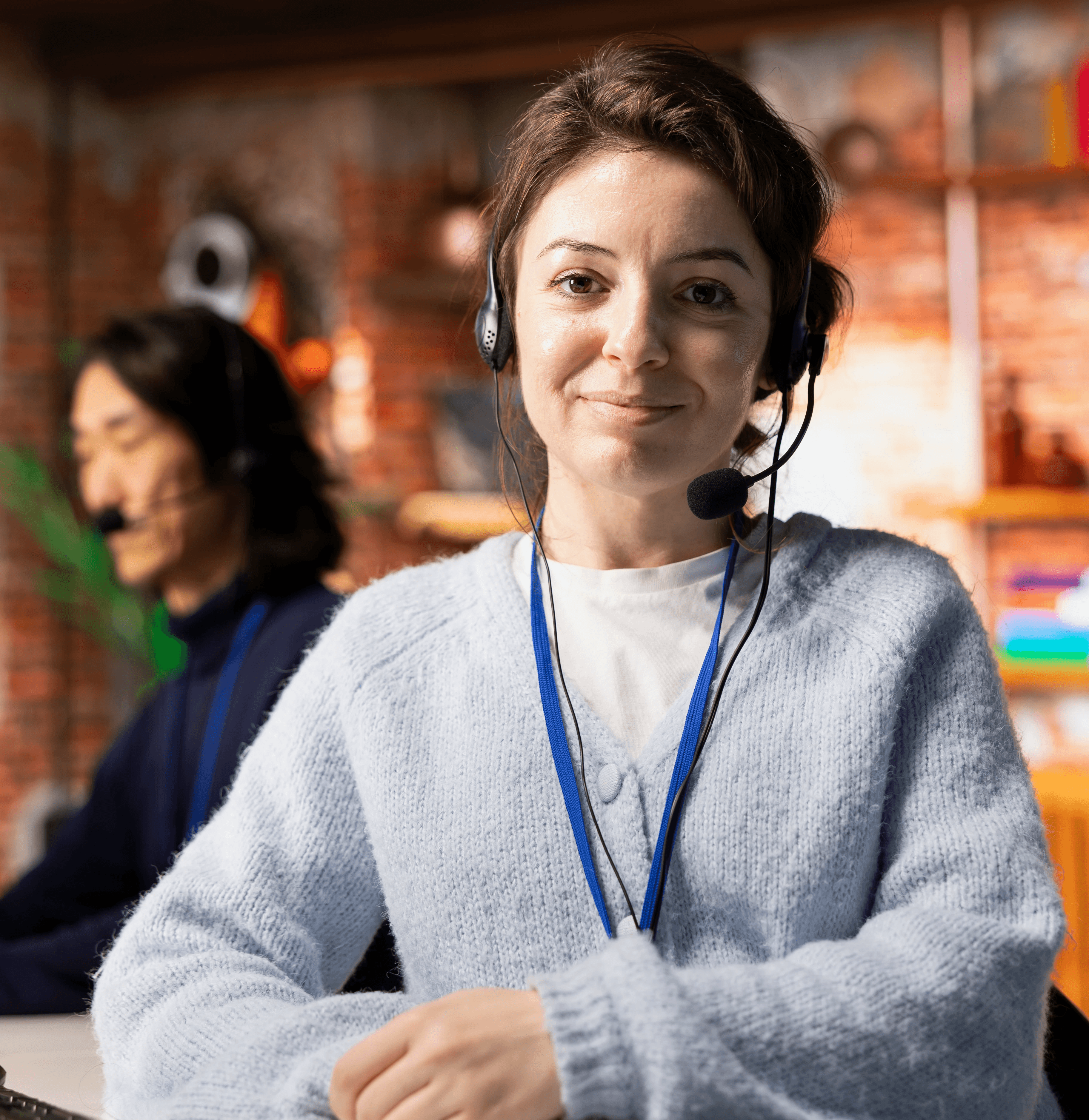 An image of Freelio's project ui