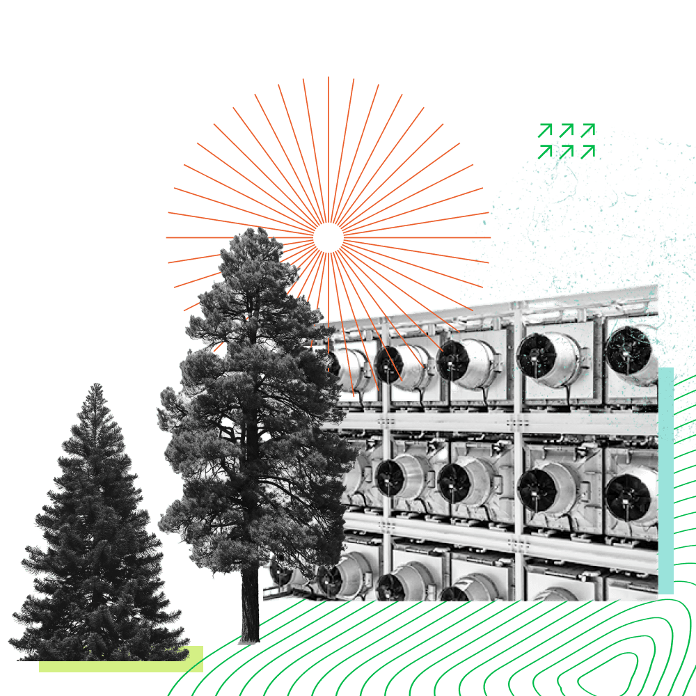 A collage-style illustration representing types of portfolio projects