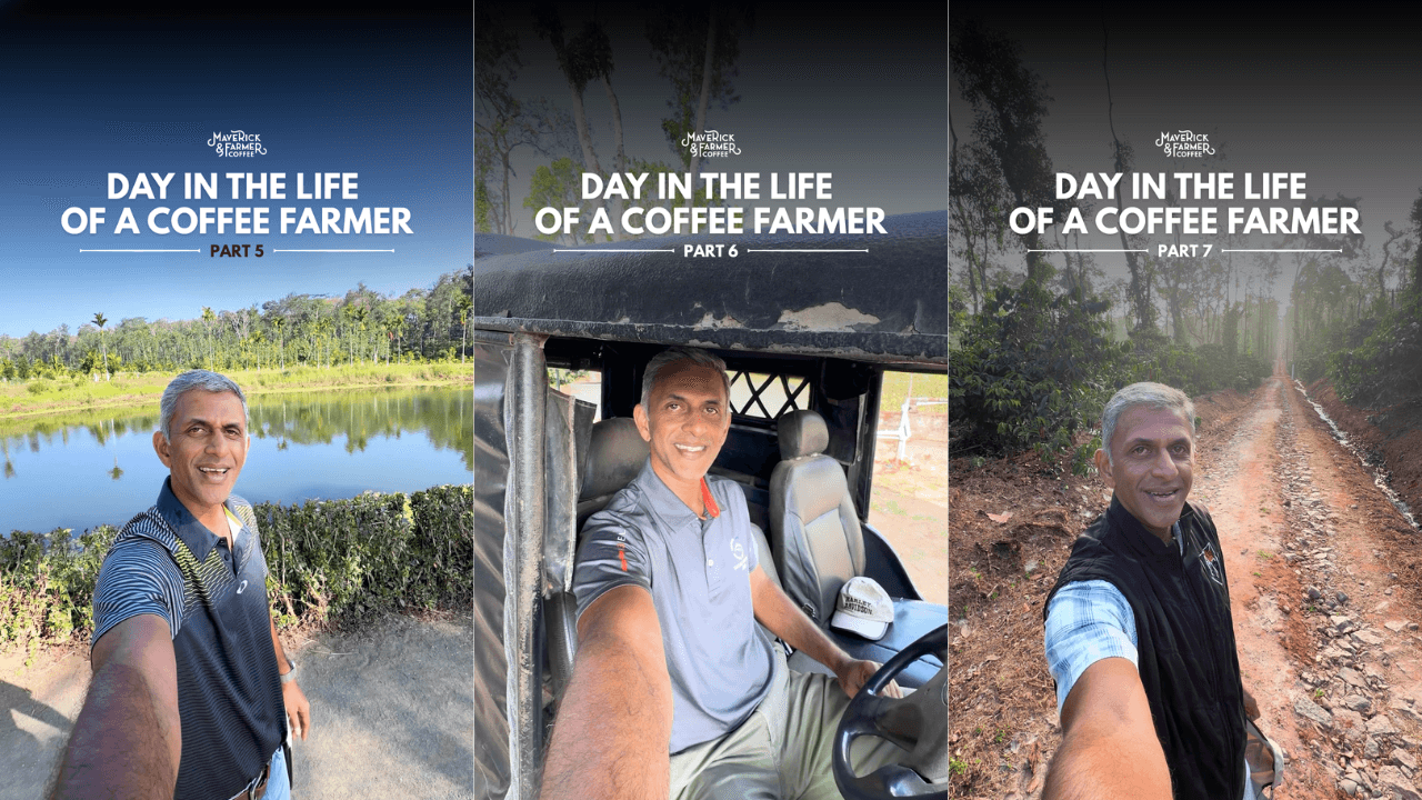 Maverick & Farmer - Day In the life of a Coffee Farmer