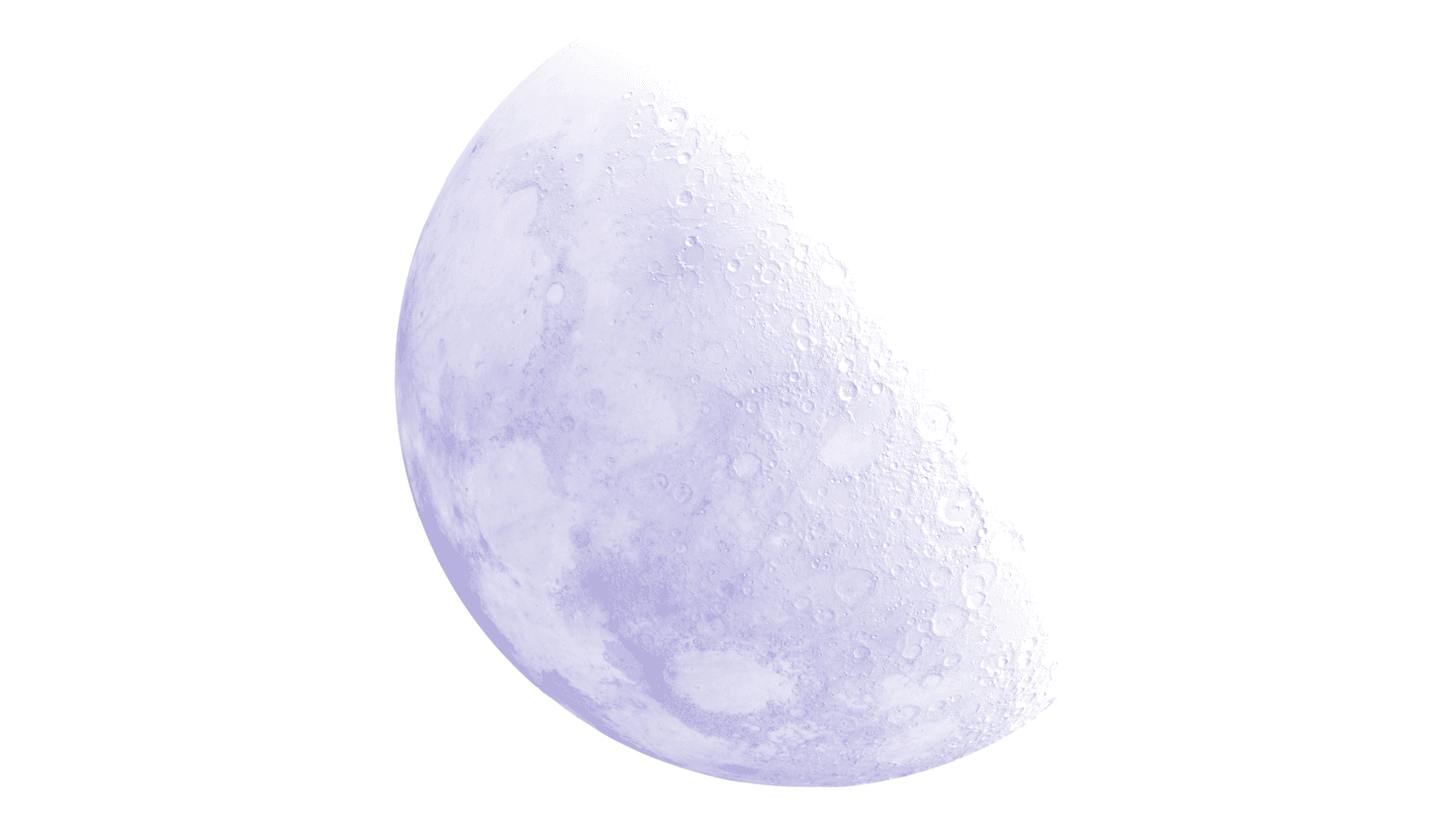 Logo rond Whiscat Studio – Studio web design interactif et sur mesure