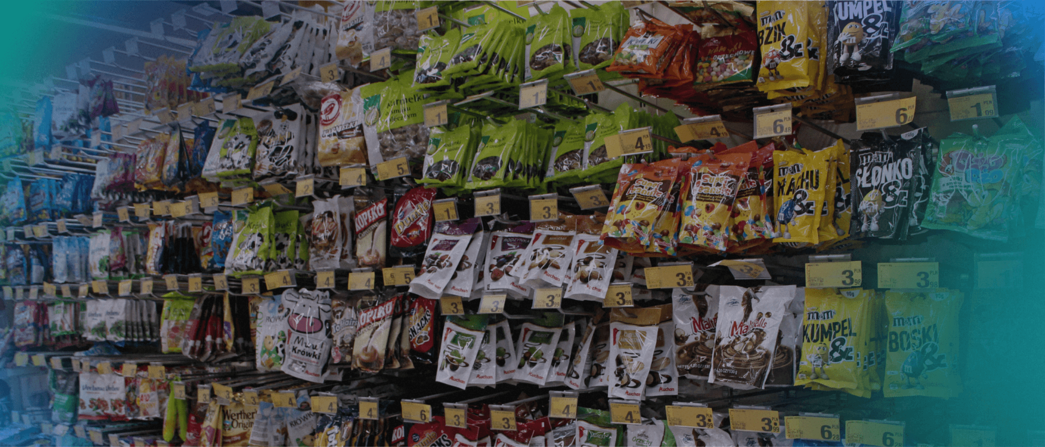 people sitting and using laptops