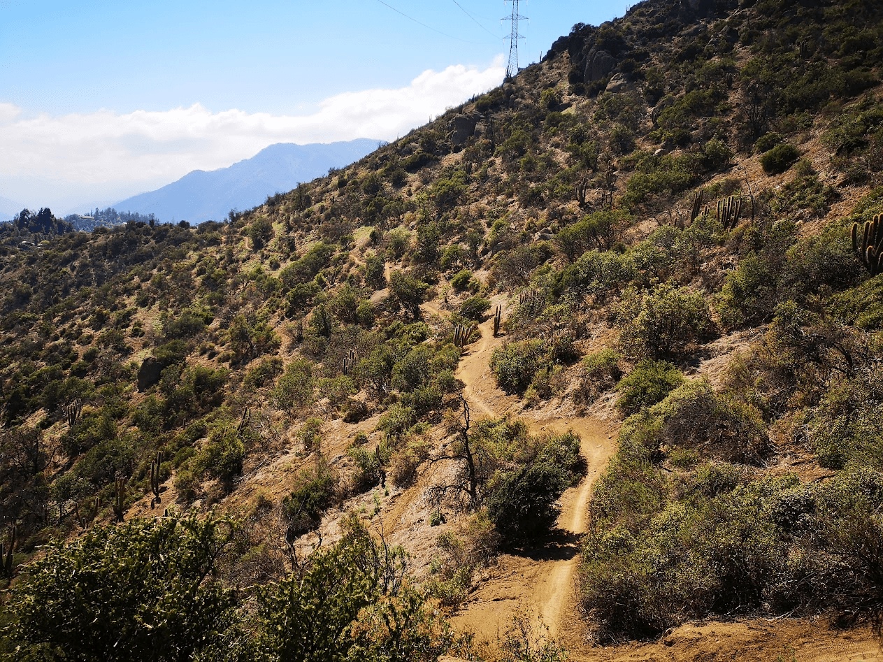 three children at the beach during golden hour