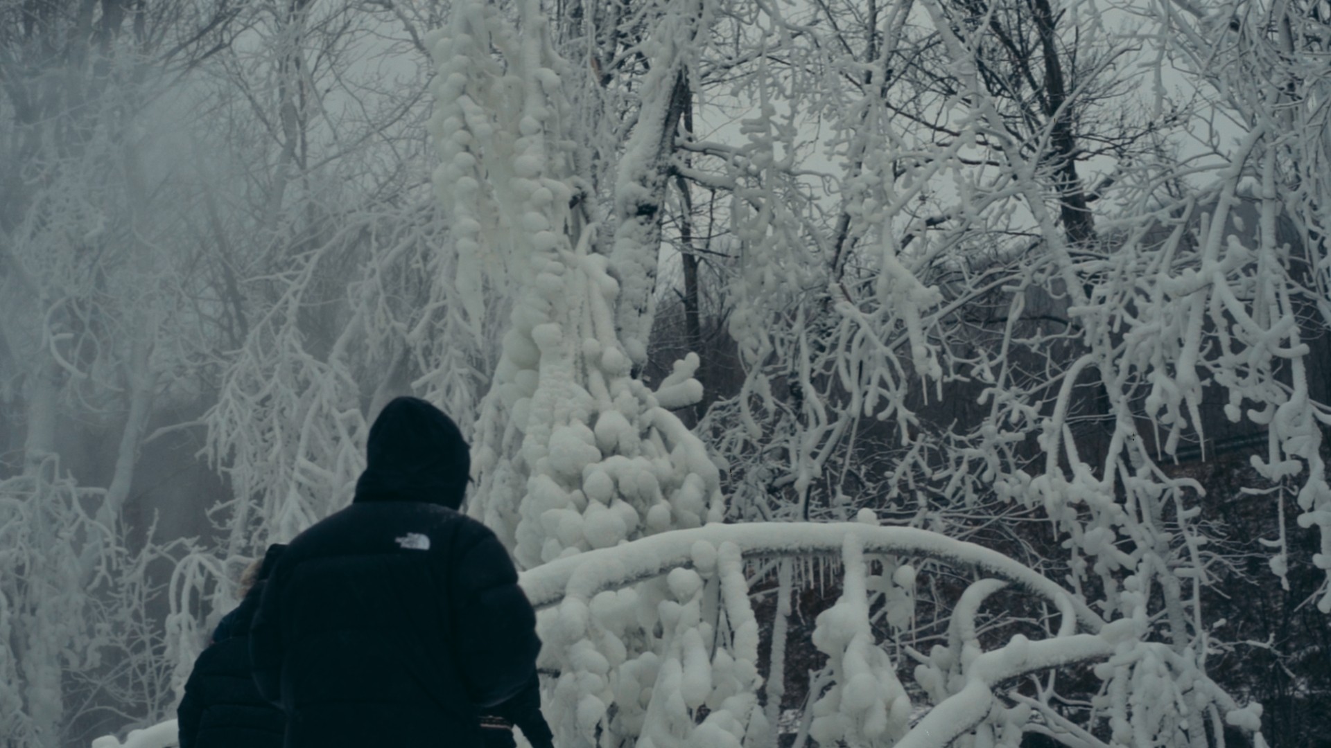 Personne en manteau noir observant des arbres couverts de neige épaisse en forêt.