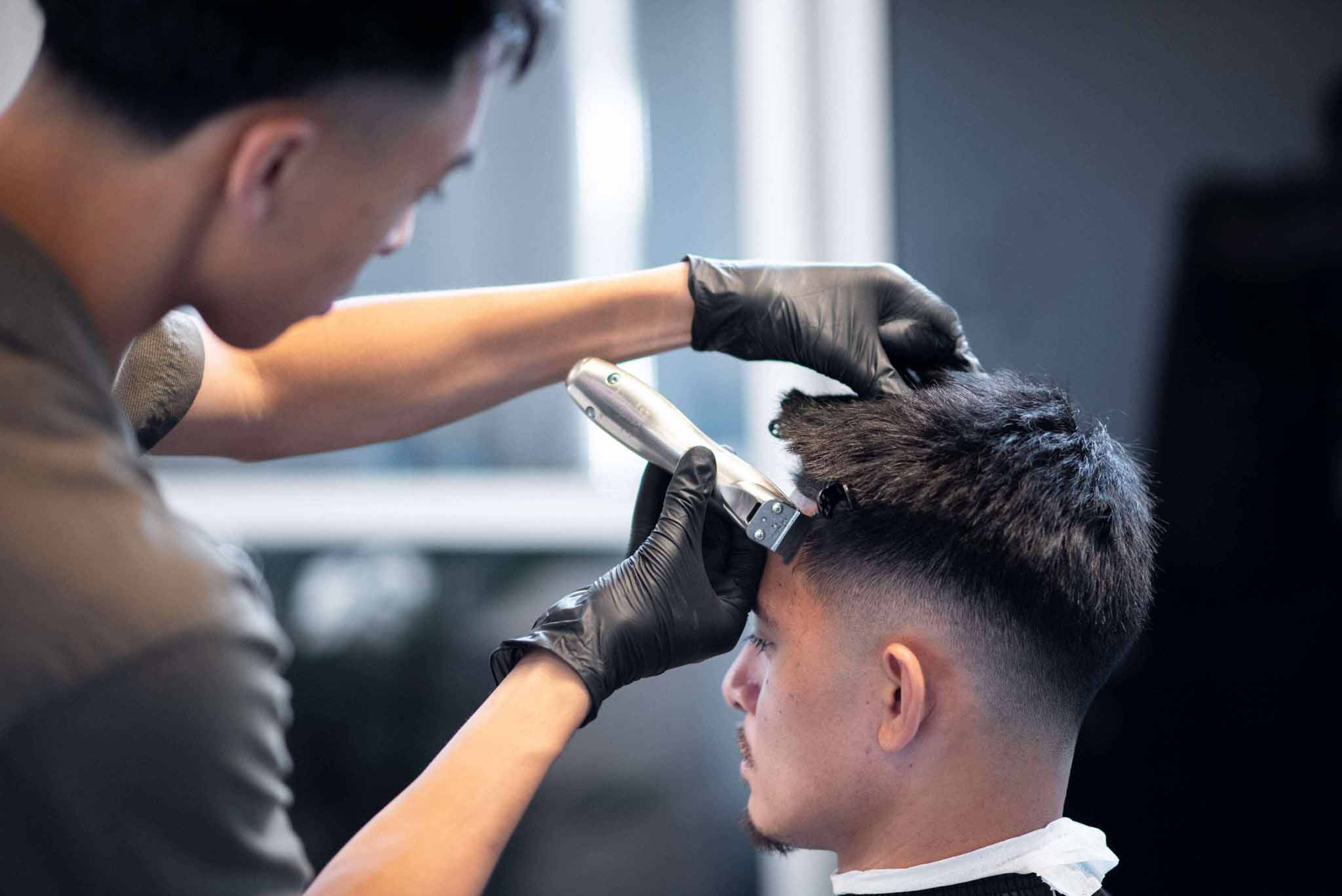 green leaf tree near pond