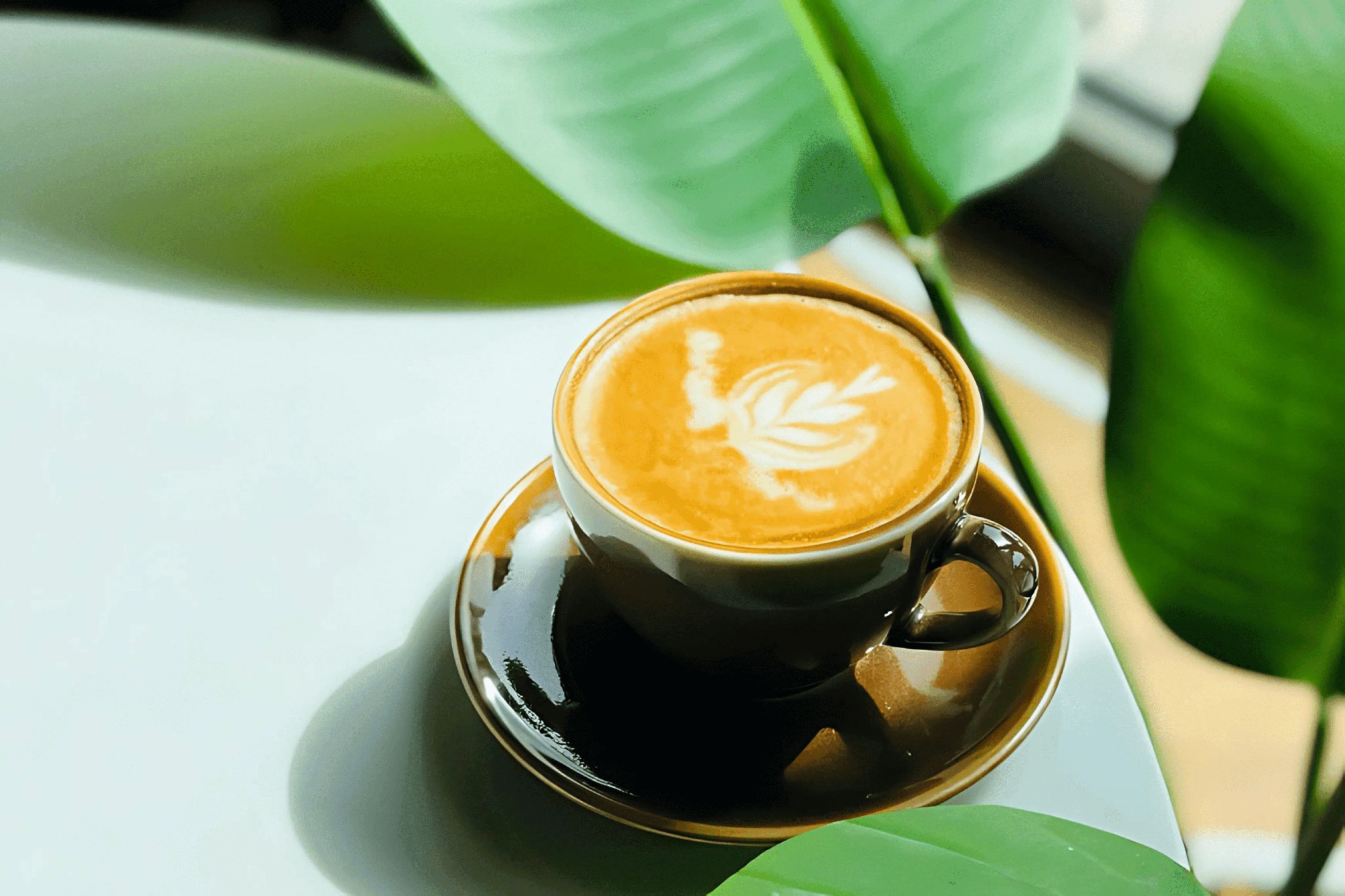 Caffein Dose Cafe