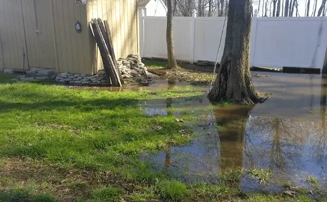 Standing water pooling in backyard near tree and shed due to poor finish grading in Kansas City.