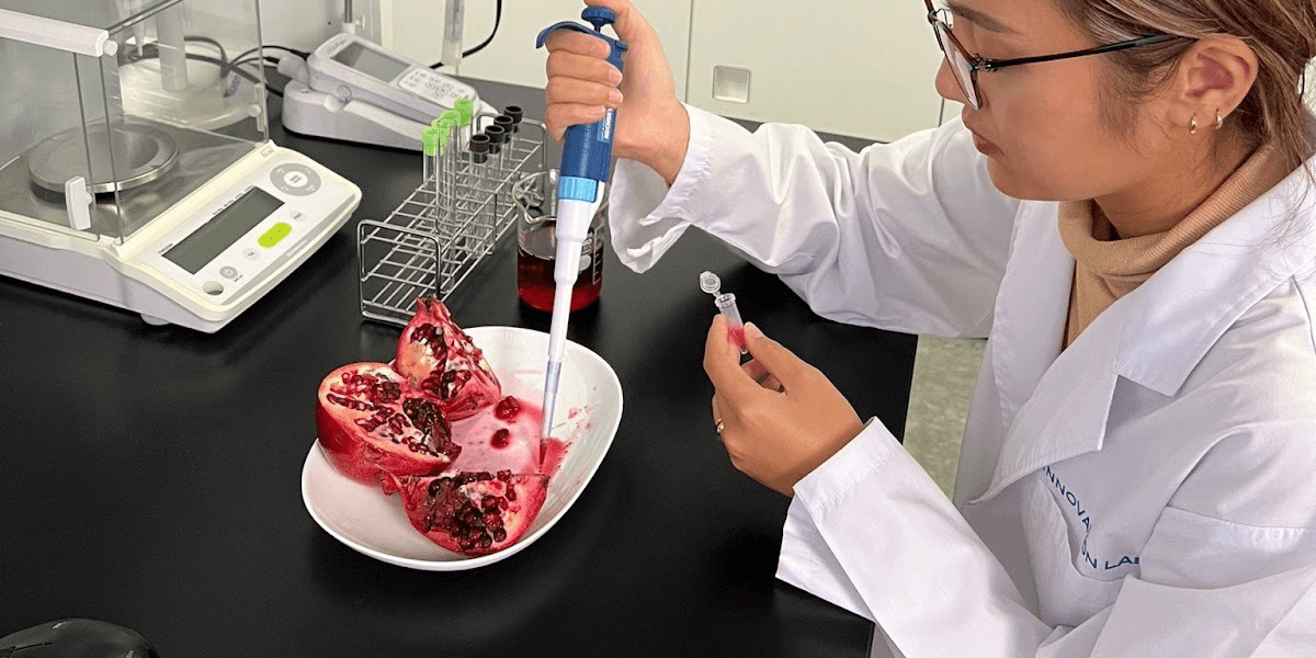 Scientist extracting natural urolithins from organic pomegranate for mitochondrial health research."