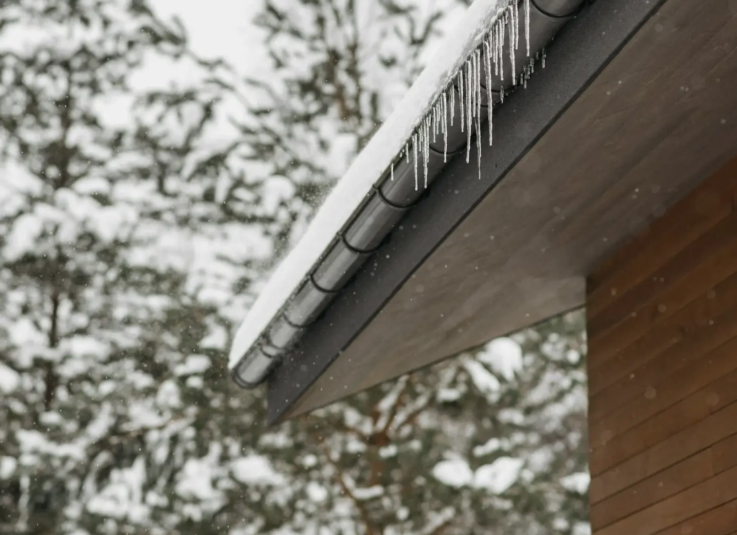 Home roofline, soffit, gutter, fascia with ice