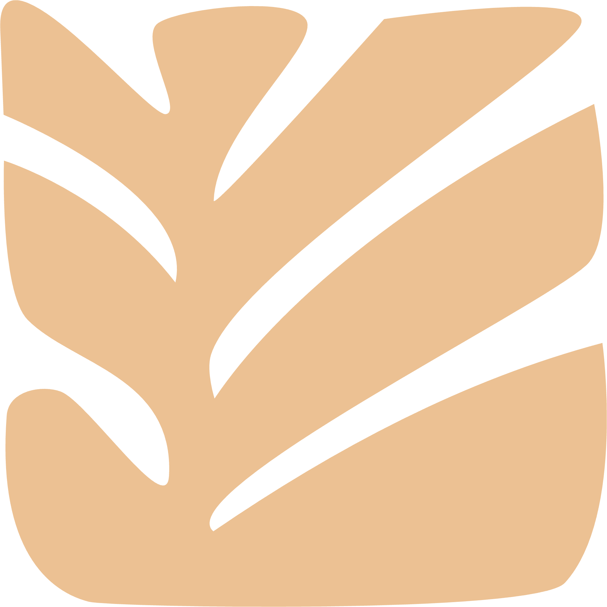 Leaf Illustration