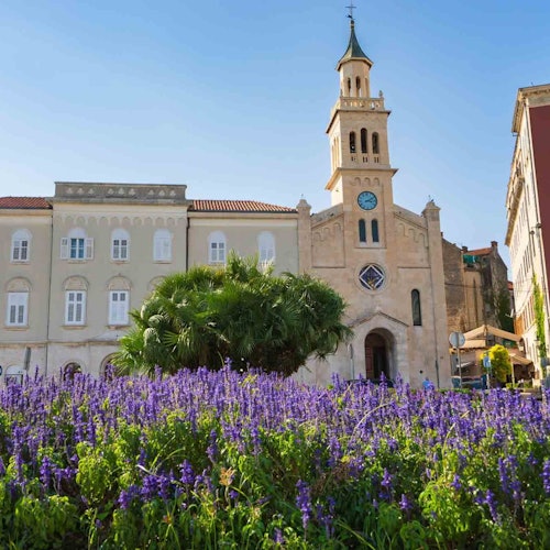 Byomvisning rød linje