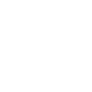 Dell Logo
