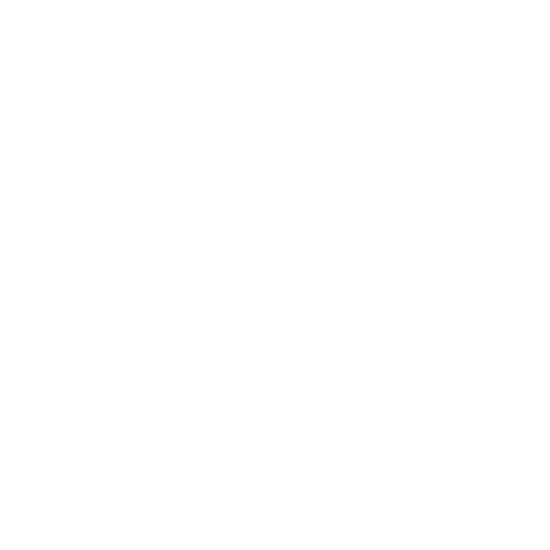 Review Icon