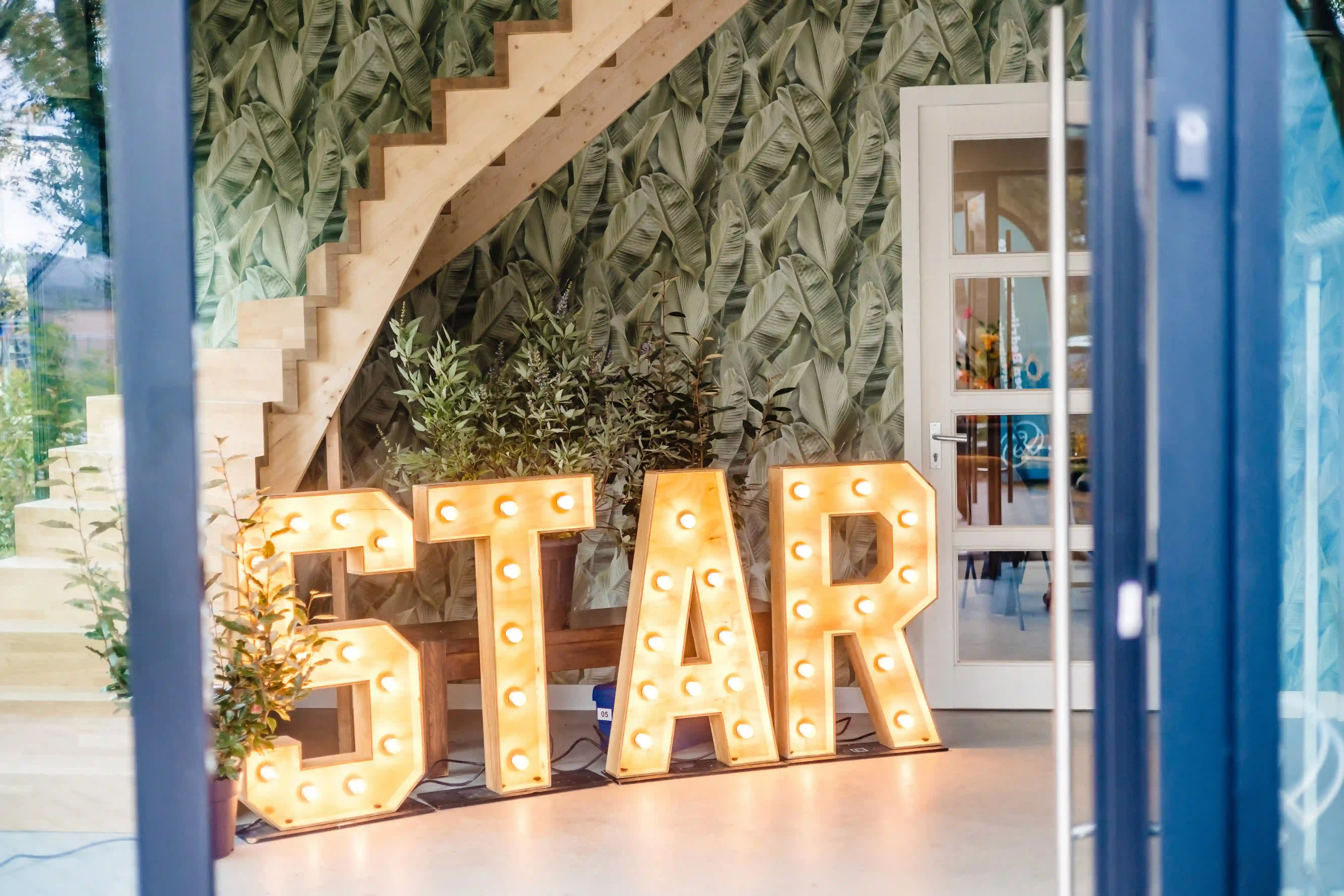 Star Landscaping - placeholder