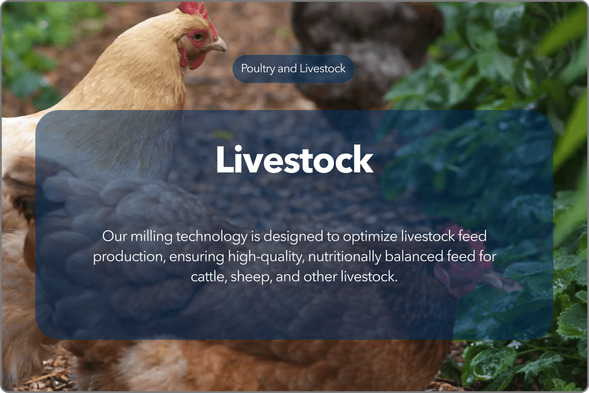 african chad chile hong kong macao christmas cocos keeling colombia comoros cook costa rica cte divoire ivory coast croatia cuba curaao cyprus czechia czech denmark djibouti dominica dominican ecuador egypt salvador equatorial eritrea estonia eswatini swaziland ethiopia falkland malvinas faroe fiji finland france guiana polynesia southern territories gabon gambia germany ghana gibraltar greece greenland grenada guadeloupe guam guatemala guernsey guineabissau guyana haiti heard mcdonald holy vatican city honduras hungary iceland india indonesia iran islamic iraq isle man israel italy jamaica japan jersey jordan kazakhstan kenya kiribati kuwait kyrgyzstan lao latvia lebanon lesotho liberia libya liechtenstein lithuania luxembourg madagascar malawi malaysia maldives mali malta marshall martinique mauritania mauritius mayotte mexico micronesia federated monaco mongolia montenegro montserrat morocco mozambique myanmar burma namibia nauru nepal netherlands caledonia zealand nicaragua niger nigeria niue norfolk macedonia mariana norway oman pakistan palau panama papua paraguay peru philippines poland portugal puerto rico qatar moldova runion romania russian federation rwanda barthlemy ascension tristan cunha kitts nevis lucia martin pierre miquelon vincent grenadines san marino sao tome principe saudi arabia senegal serbia seychelles sierra leone singapore maarten dutch slovakia slovenia solomon somalia africa sandwich spain sri lanka state palestine suriname svalbard jan mayen sweden switzerland syrian tajikistan thailand timorleste east timor togo tokelau tonga trinidad tobago tuvalu turkey uganda ukraine emirates kingdom great britain tanzania minor outlying america uruguay uzbekistan vanuatu venezuela bolivarian viet nam wallis futuna western sahara disputed yemen zambia zimbabwe country street house citytown zip asian noodles oilseed super absorbent polymers send agree thank sent video watch next cfo interview conference king set bright future center playground cookie disclaimer imprint information security youtube back top