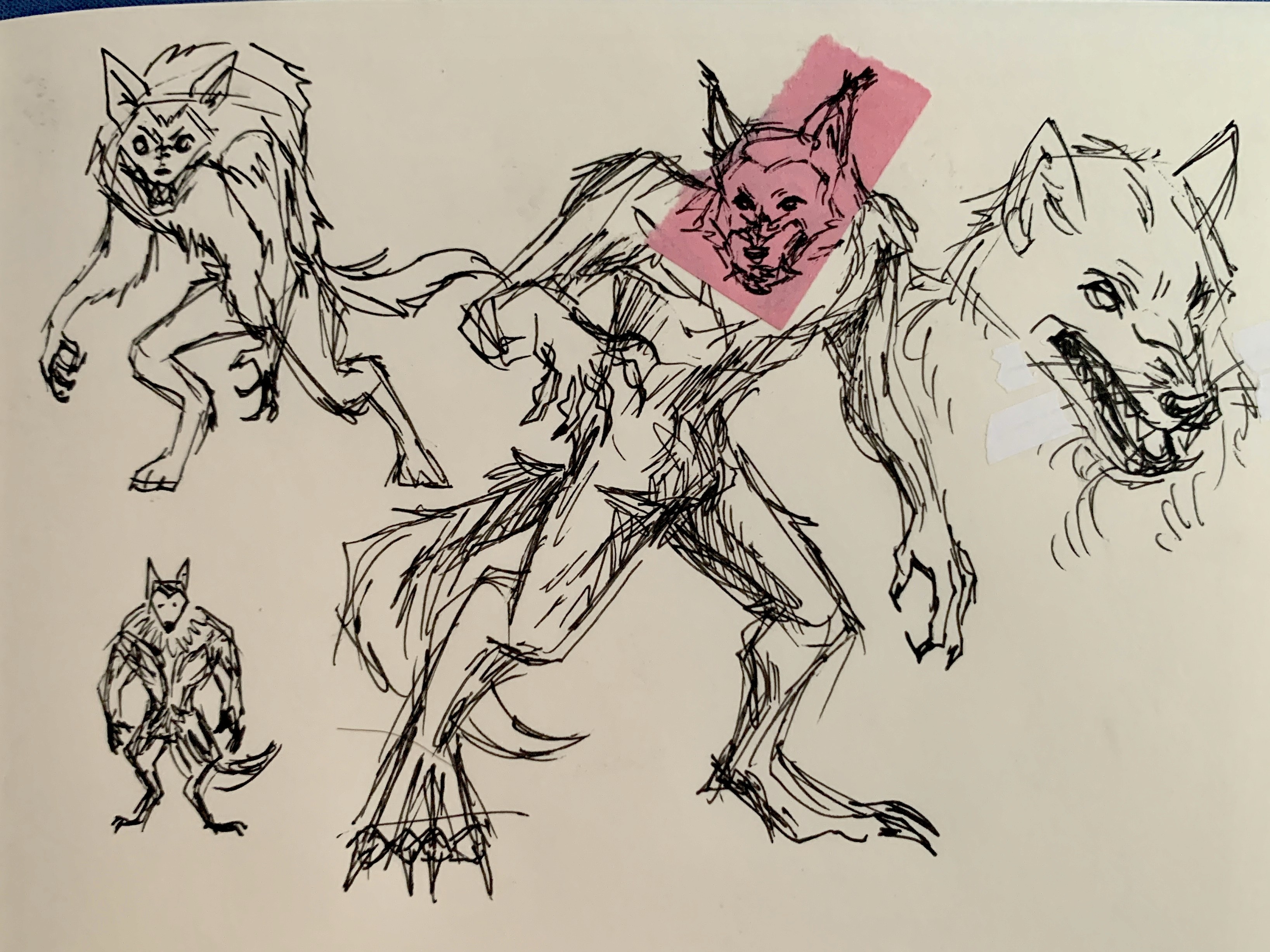 Sketches of the rougarou