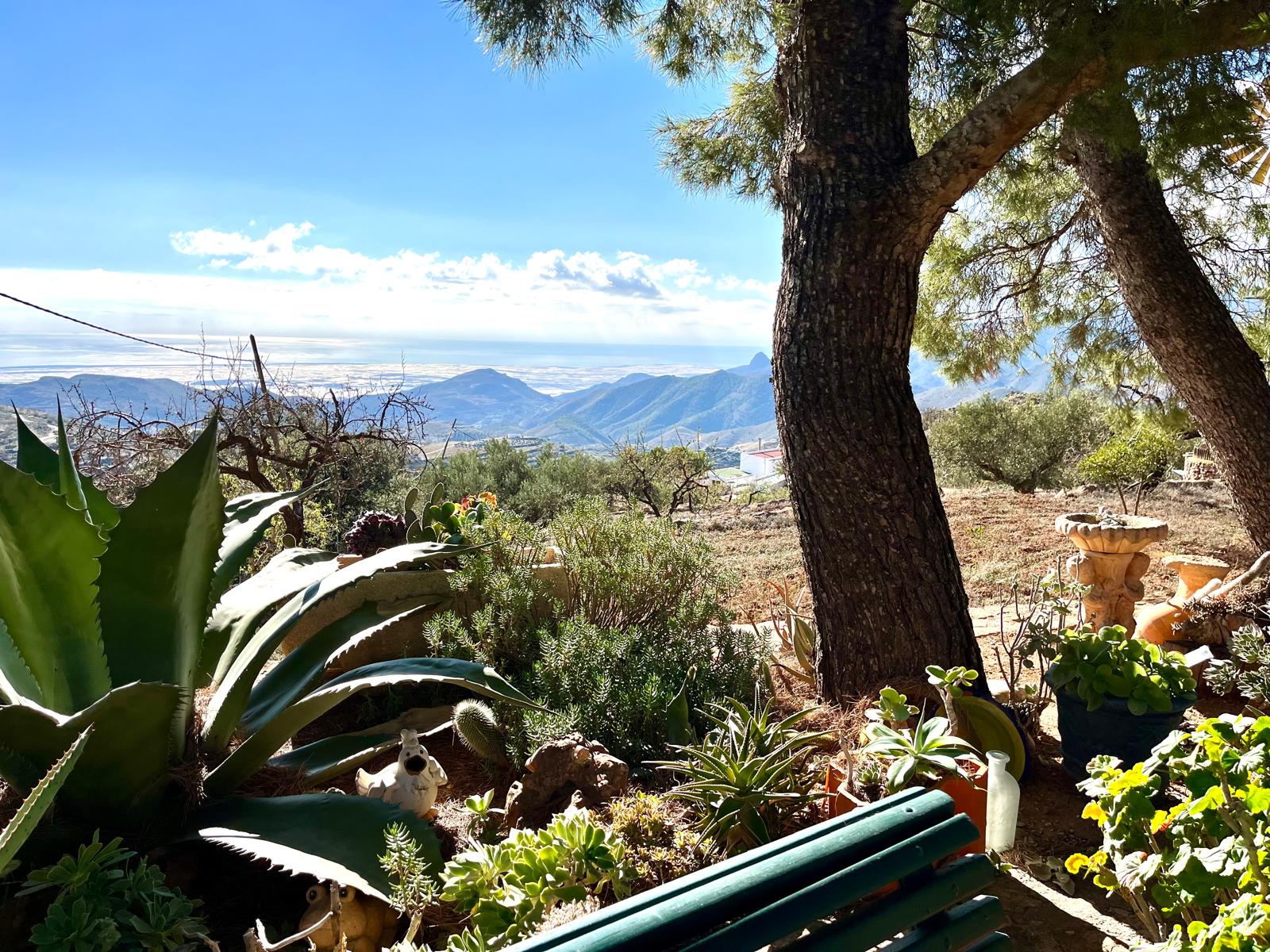 Magnifique Finca Almeria Felix — 4