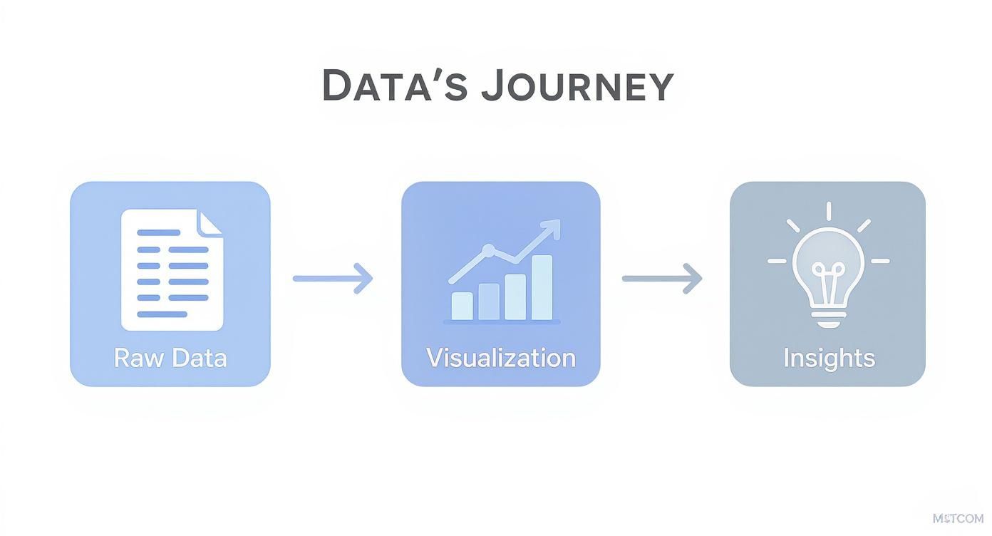 Infographic about data visualization and dashboards