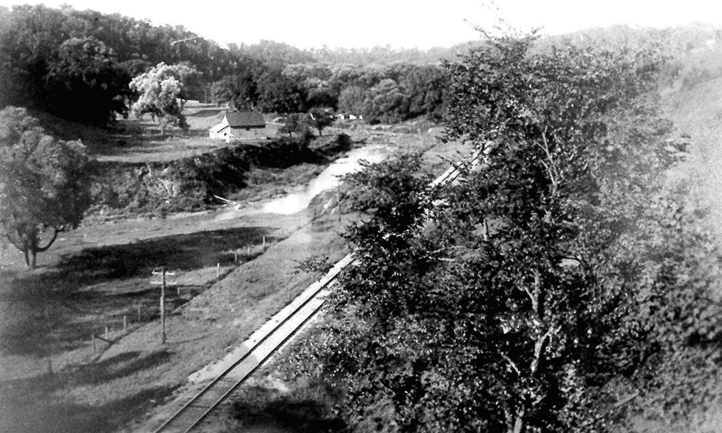 Polluted nature
