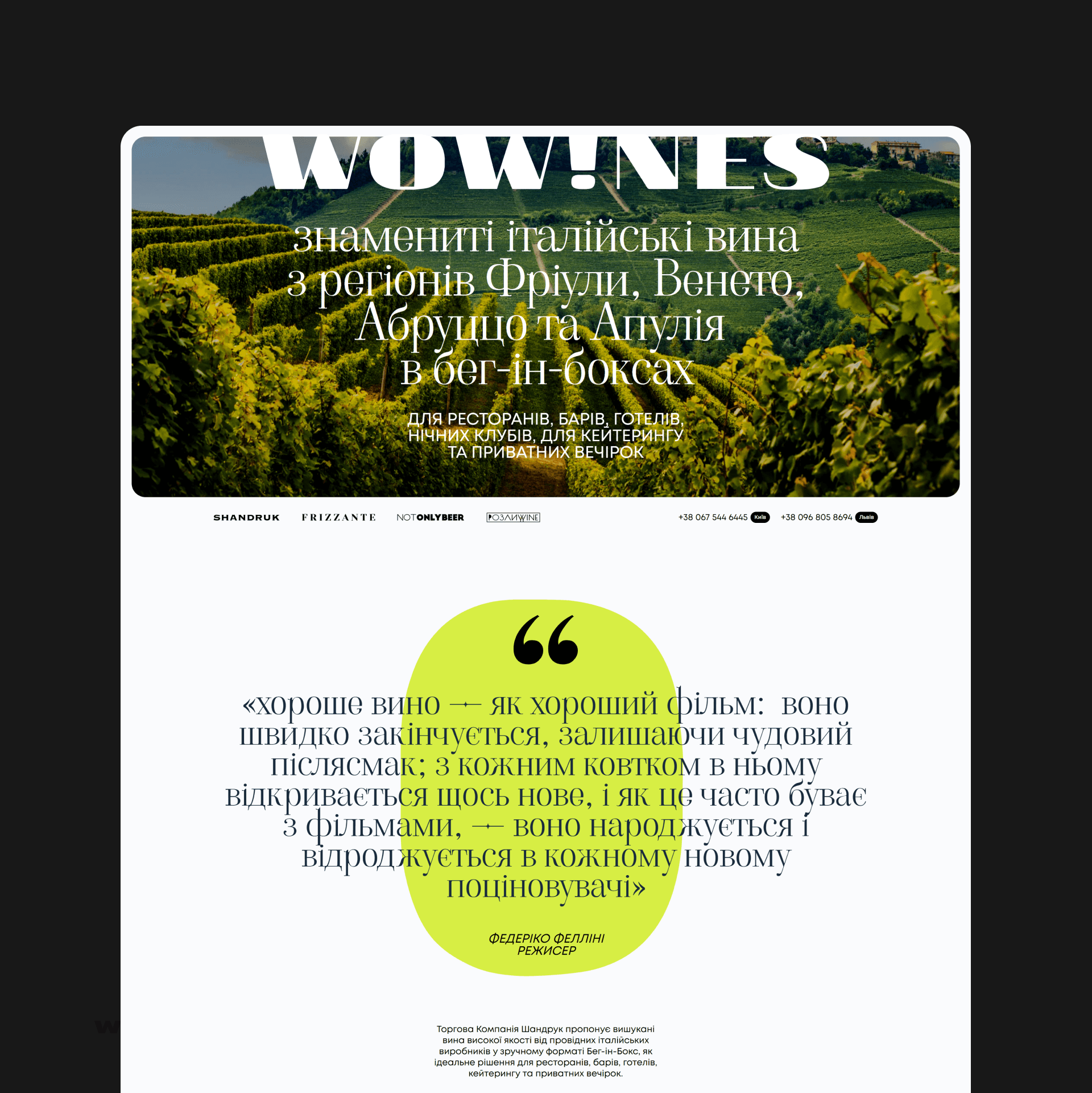 Дизайн лендінгу винного бренду Wowines