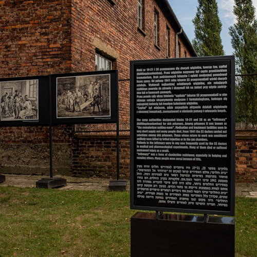 Tour di Auschwitz