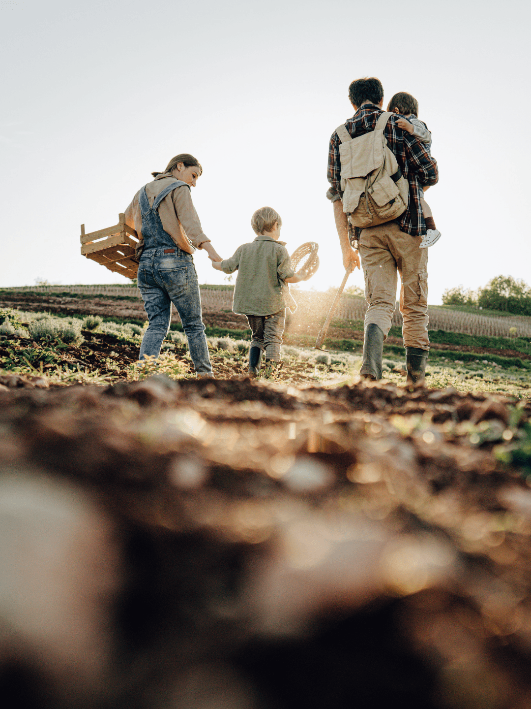 grilled meat on white ceramic plate