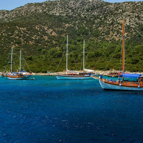 Bodrum: Orak Island Boat Trip
