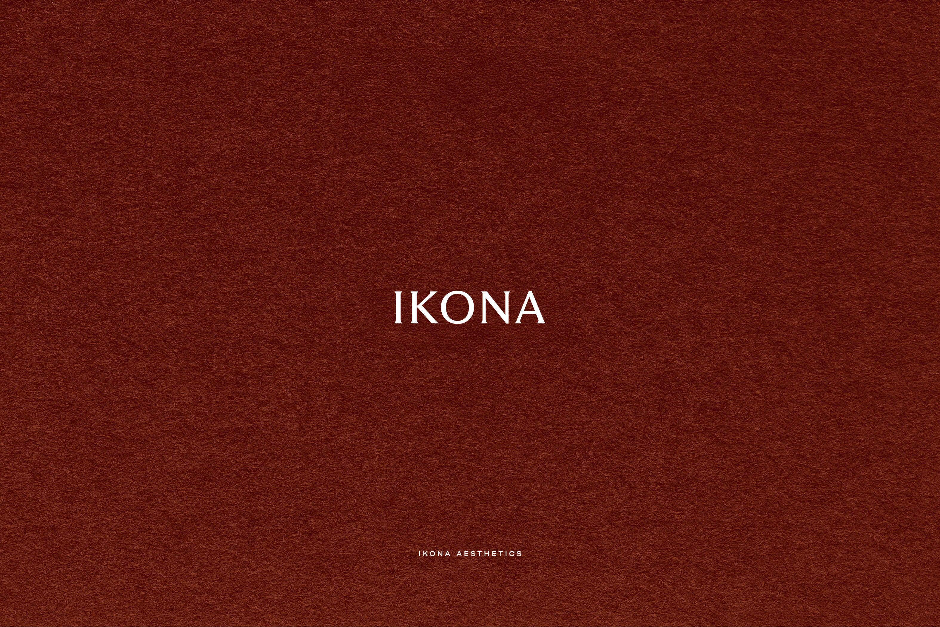 Visual identity system overview for Aesthetics Company