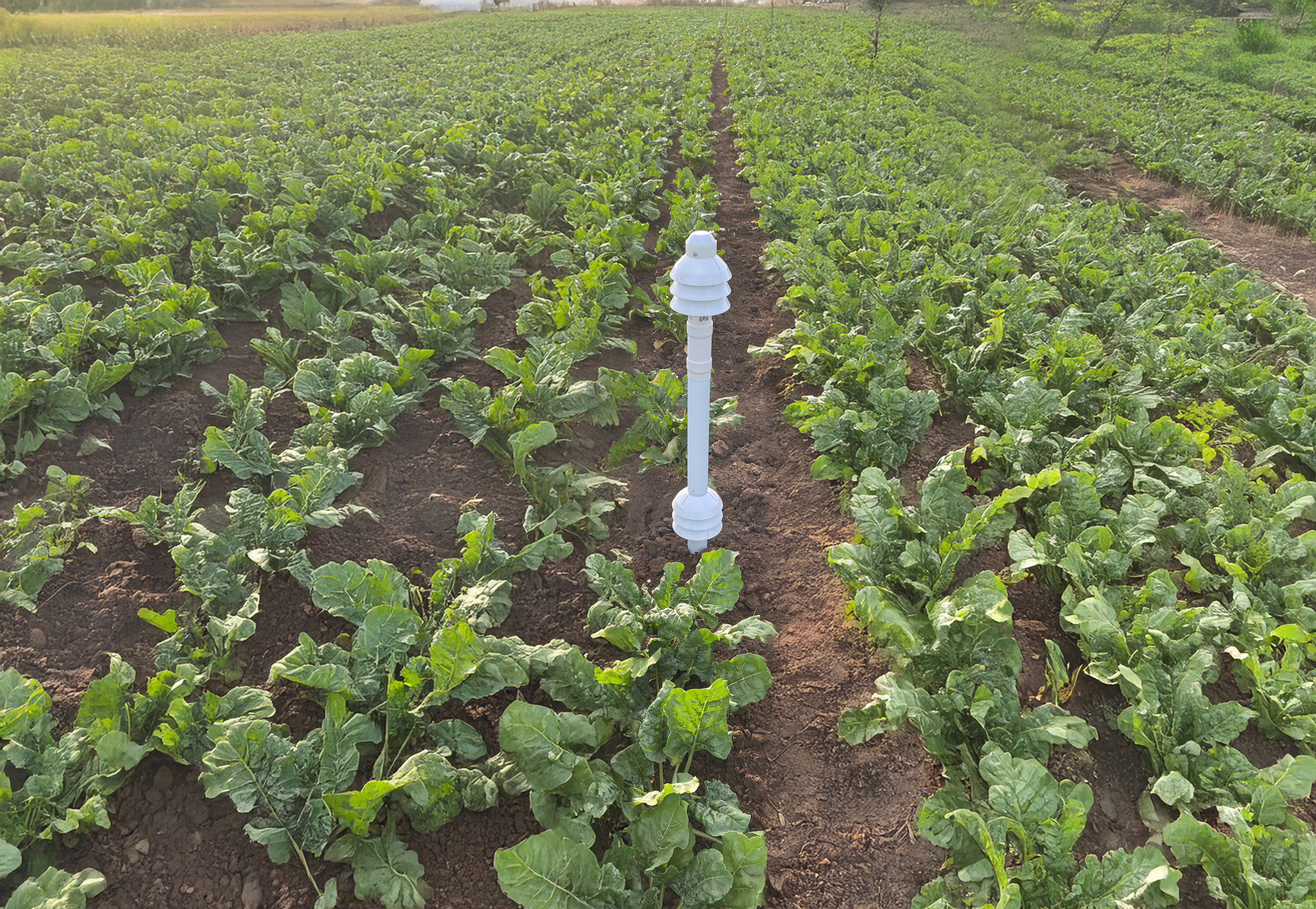 CCI – Water Replenishment Programs