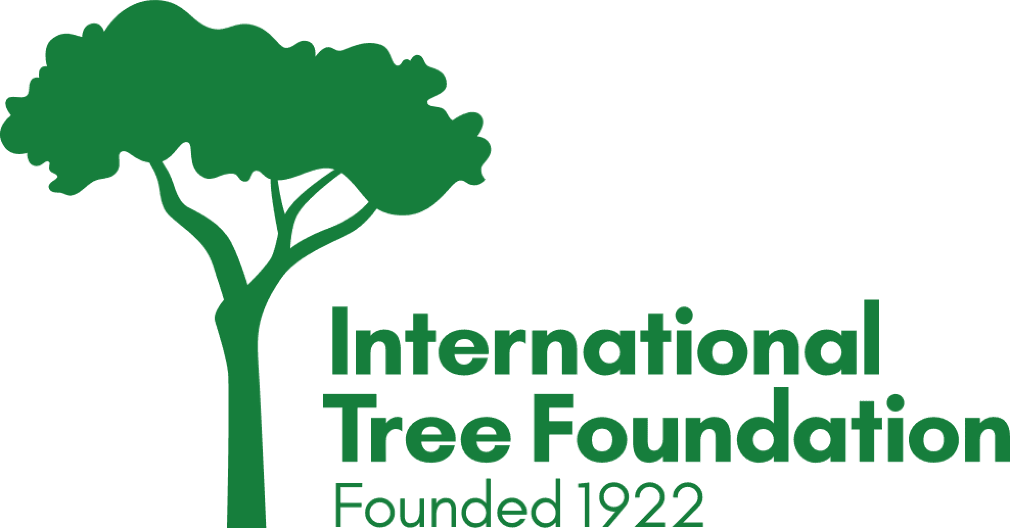 Tree Foundation