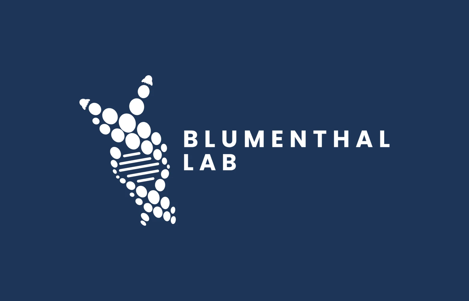 The Blumenthal Lab wordmark with gold wings, white on navy