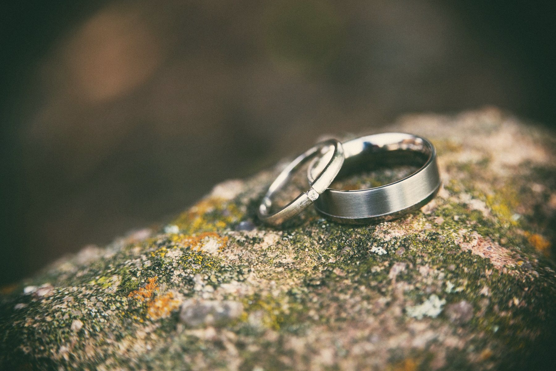 Wedding bands on moss
