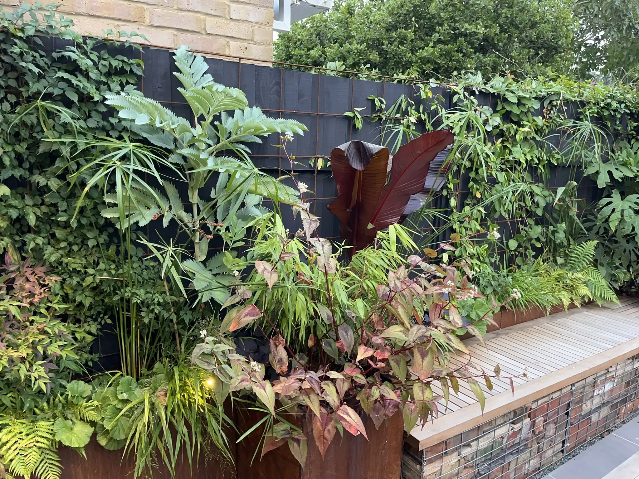 Lush greenery and plants are arranged in a garden, showcasing a vibrant array of foliage and textures.