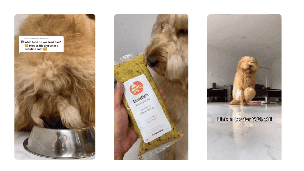 Pet Product  Reaction Video Ad