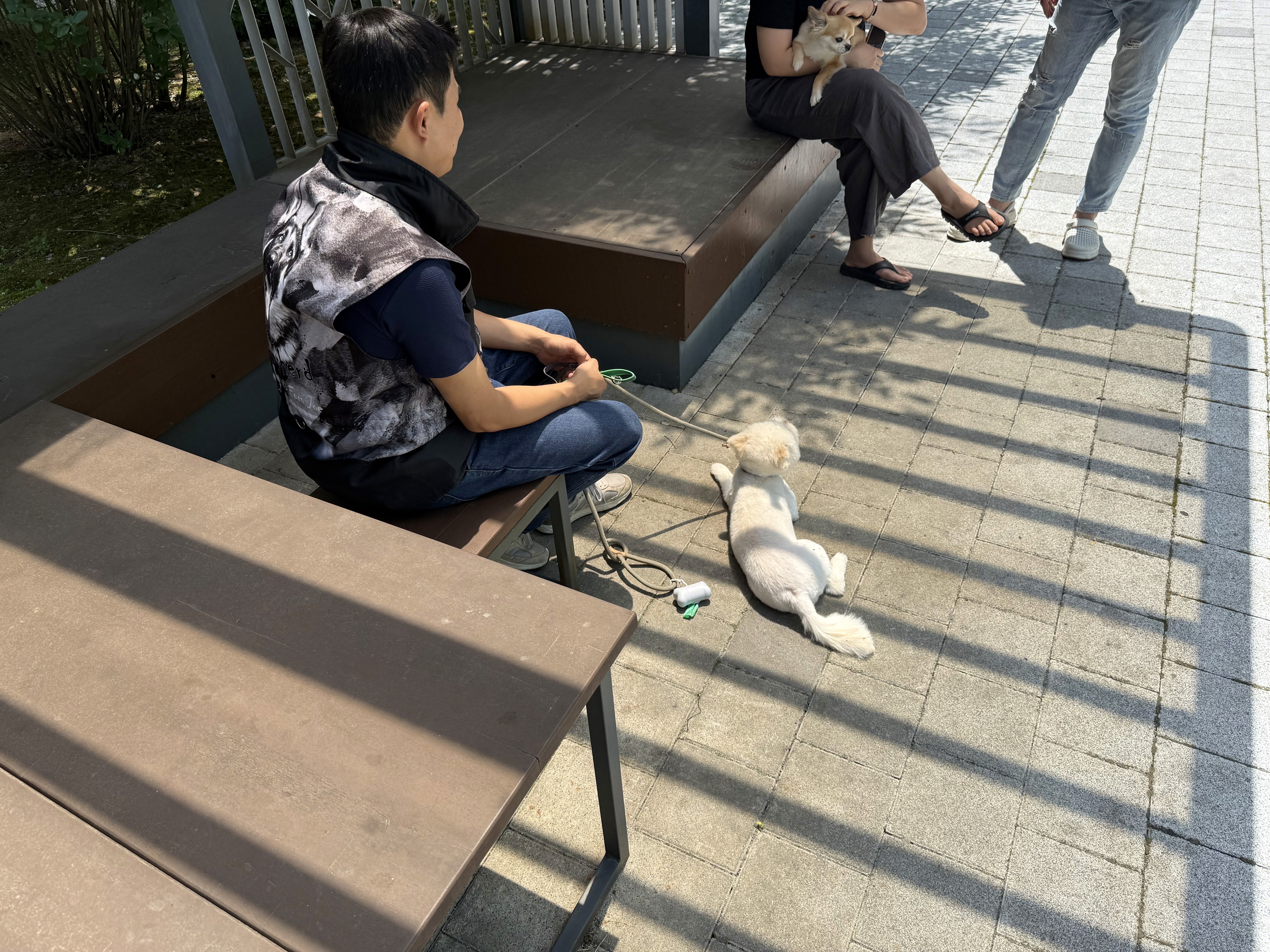 AquaFlow's transparent and eco-friendly packaging showcases the purity of its mountain spring water.