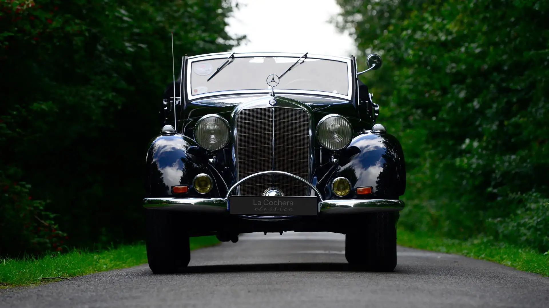 Chef handmaking pasta