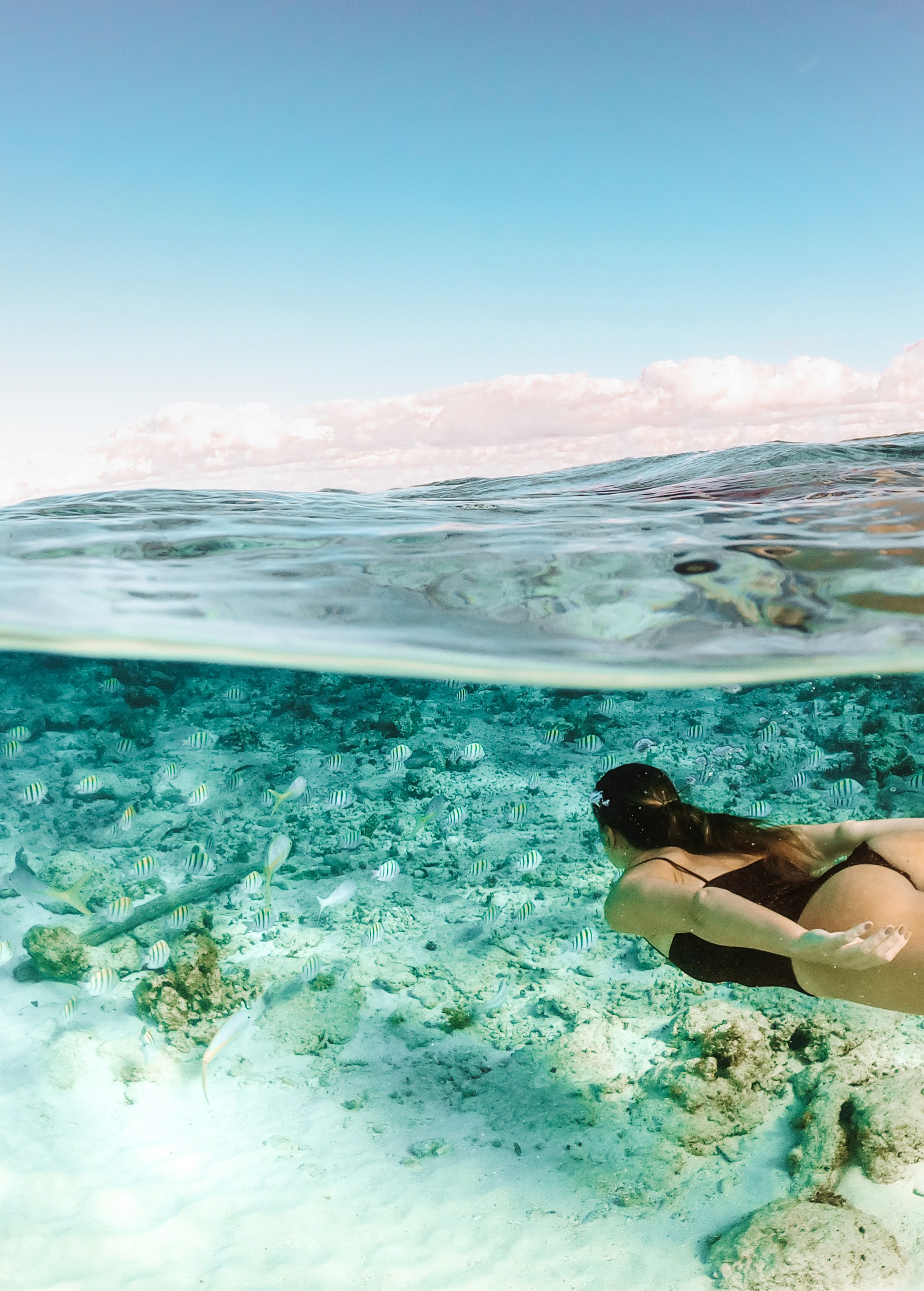 Eleanor Hastings portrait