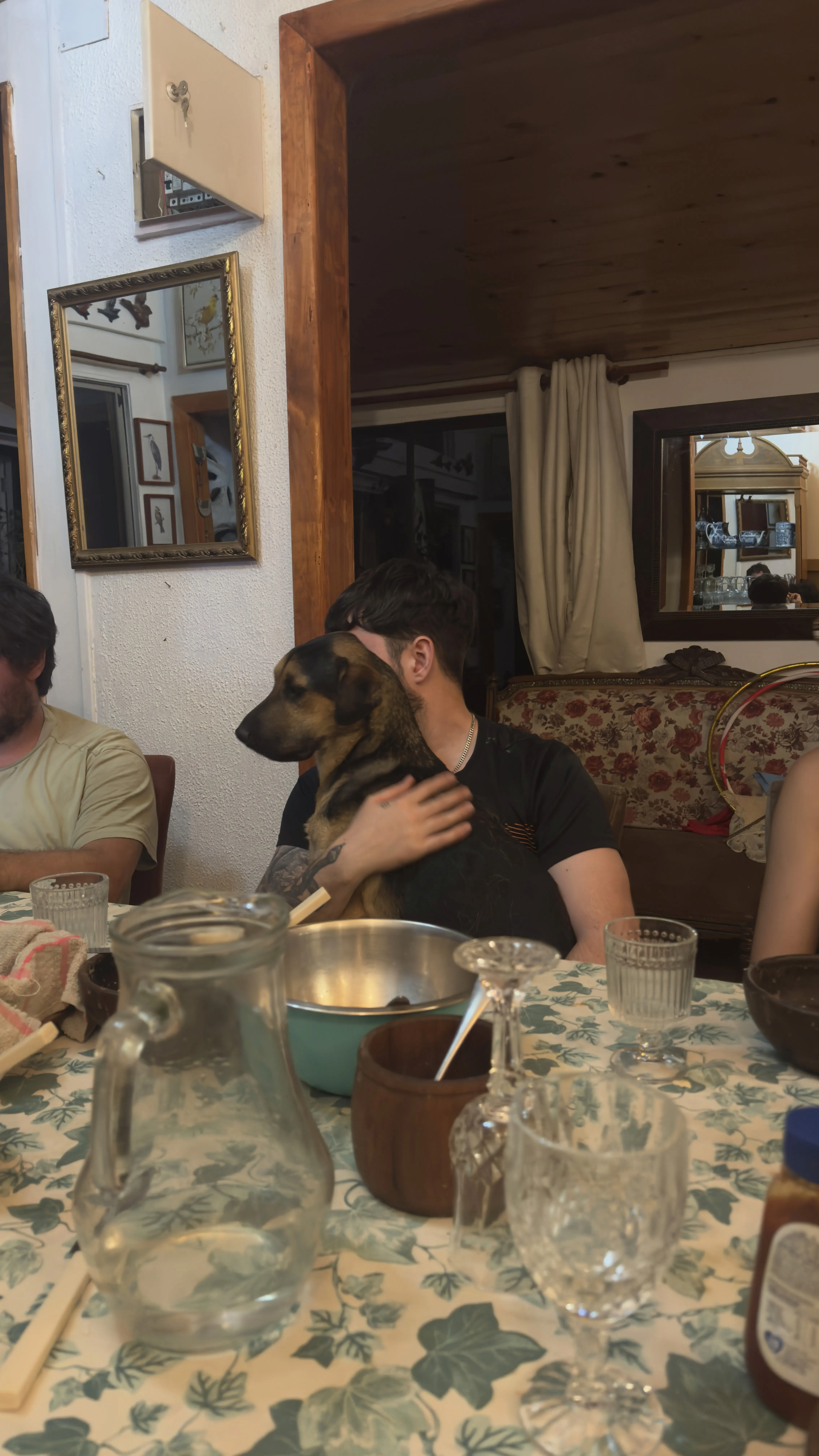 Personne à table avec un chien sur ses genoux