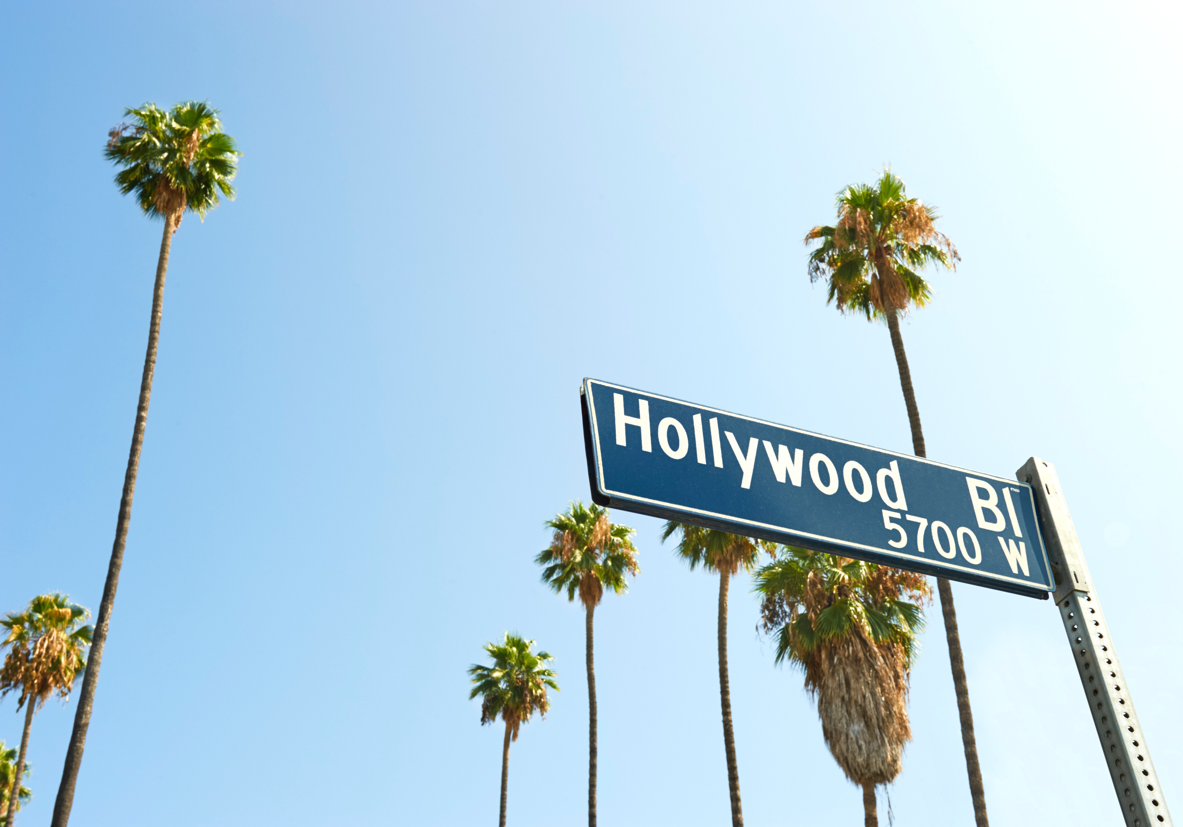 Hollywood sign framed by palm trees for owners considering selling an apartment building in Hollywood.