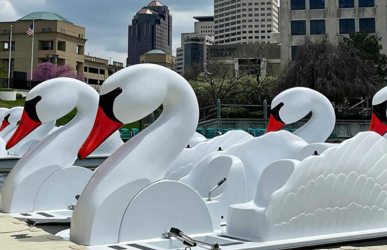 An image of Swan Boats downtown Indianapolis